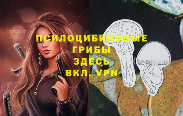МДМА Лагань