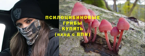 МДПВ Ладушкин