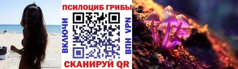 Галлюциногенные грибы Magic Shrooms Чкаловск