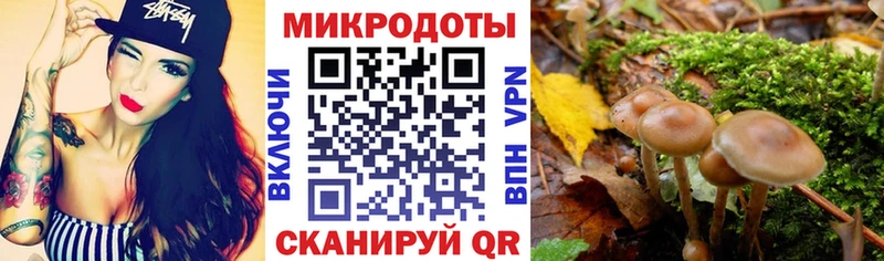 Псилоцибиновые грибы ЛСД дарк нет наркотические препараты Чкаловск